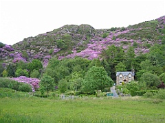 Pays de Galles 062 - Beddgelert